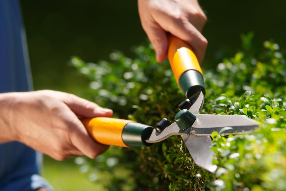 grounds_maintenance